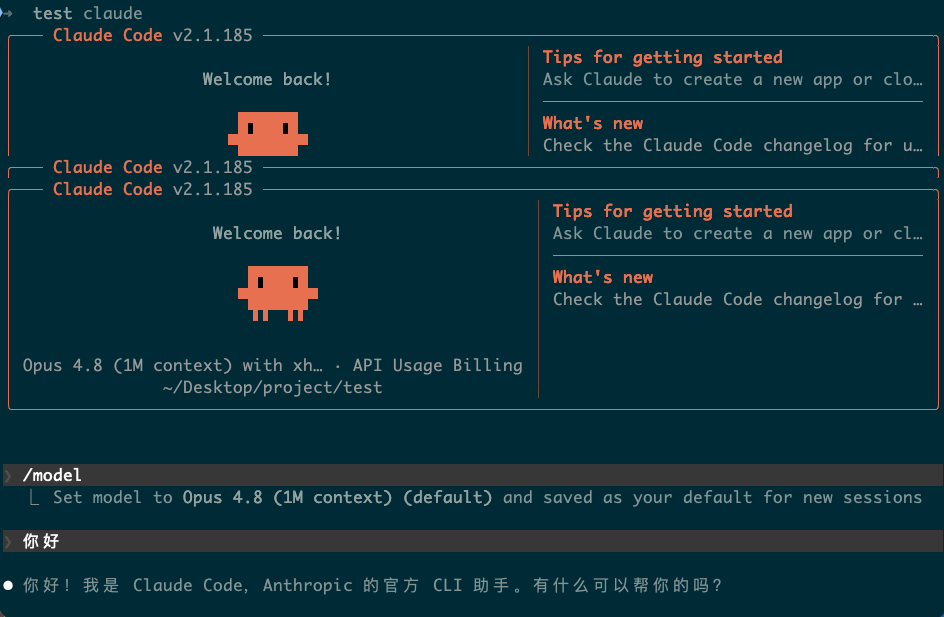 图片[7]-Claude Code & Codex 新手安装教程-wenle AI文档中心